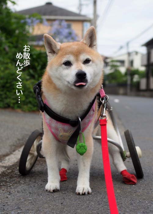 21日ブログ２