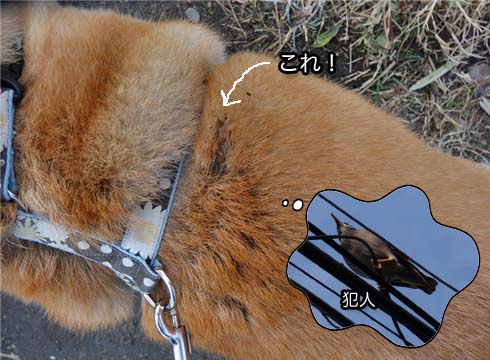 26日ブログ2.jpg