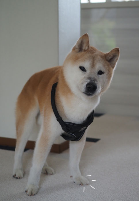 12日ブログ３
