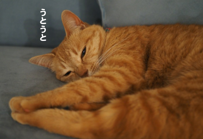 6日夕ブログ4