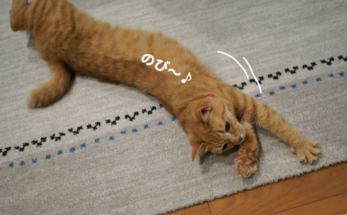 14日夕ブログ２