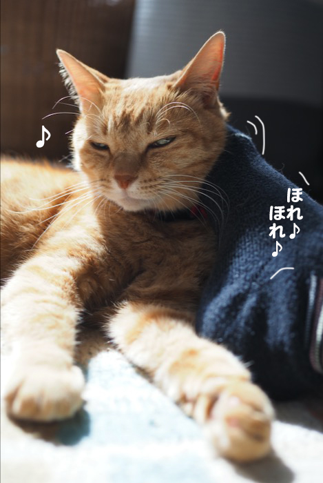 12日ブログ３