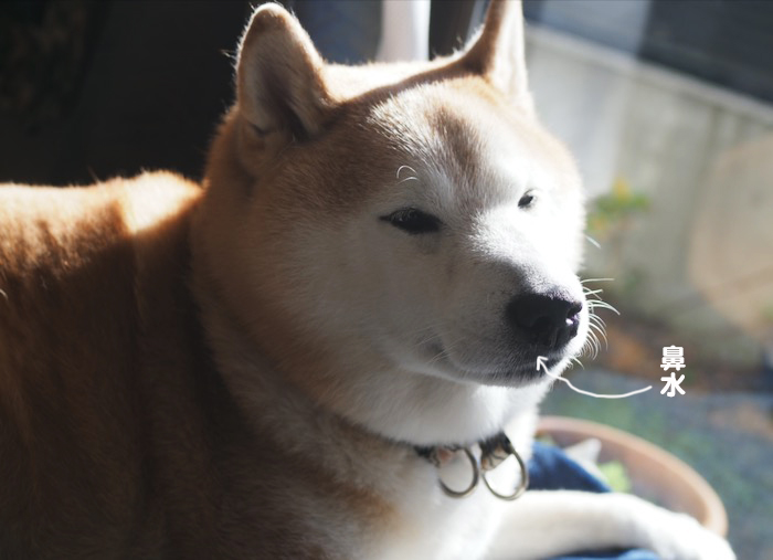 21日ブログ５