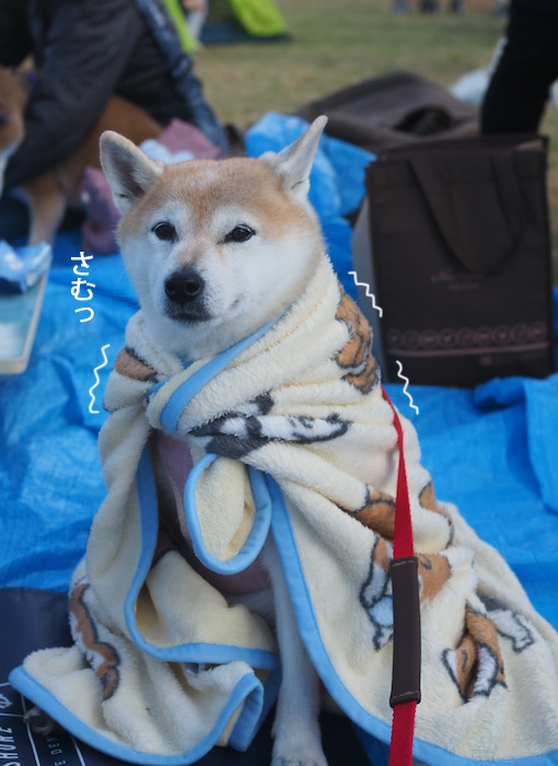 14日夕ブログ３