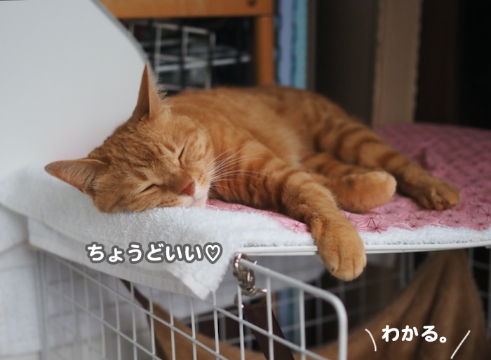 28日夕ブログ９