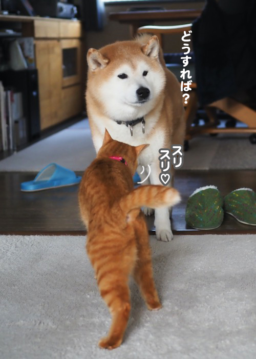 14日夕ブログ３