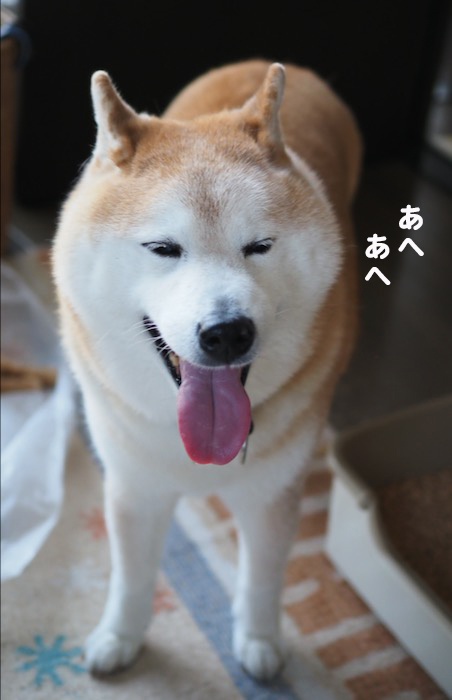 19日ブログ４
