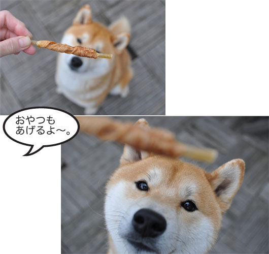 26日ブログ12.jpg