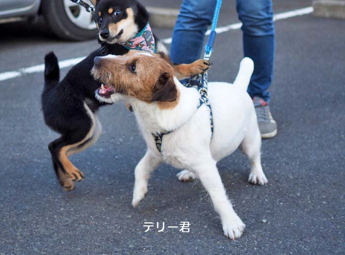 1日夕ブログ９