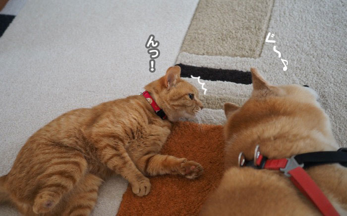 6日ブログ３