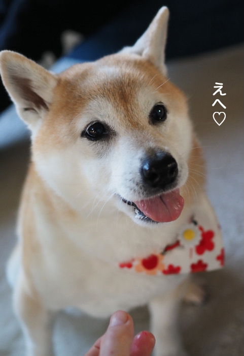 4日夕ブログ７