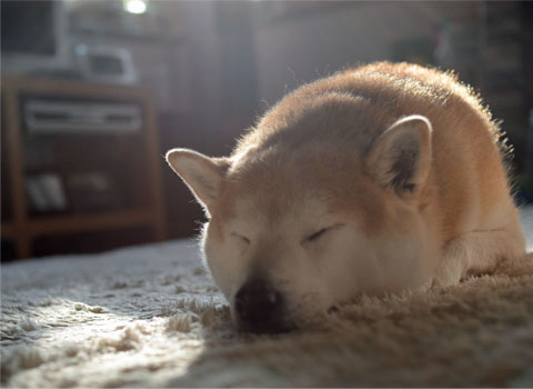 13日ブログ9.jpg