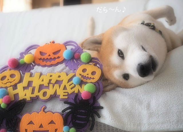 31日ブログ4