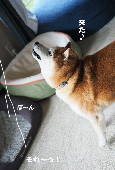22日ブログ３
