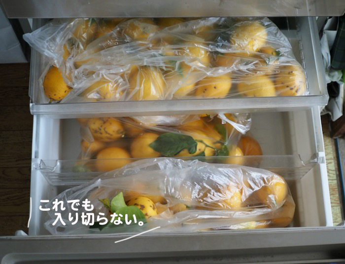 30日ブログ４
