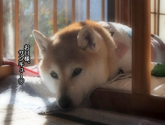 22日ブログ７