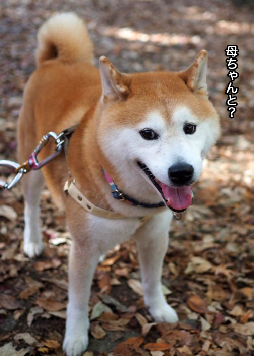 29日夜ブログ２