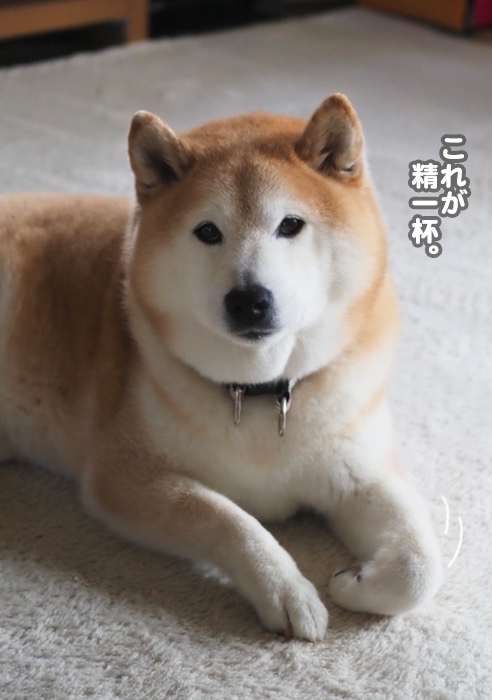 29日夕ブログ５