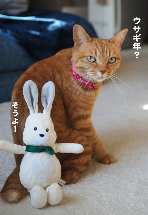 30日ブログ２