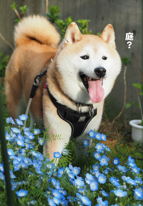 20日ブログ２