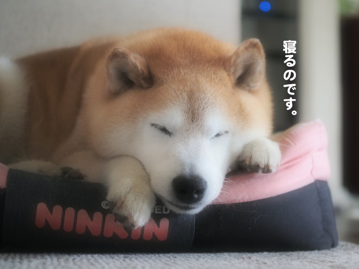 23日夕ブログ５