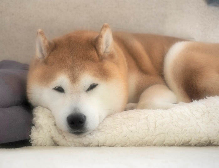 13日ブログ３