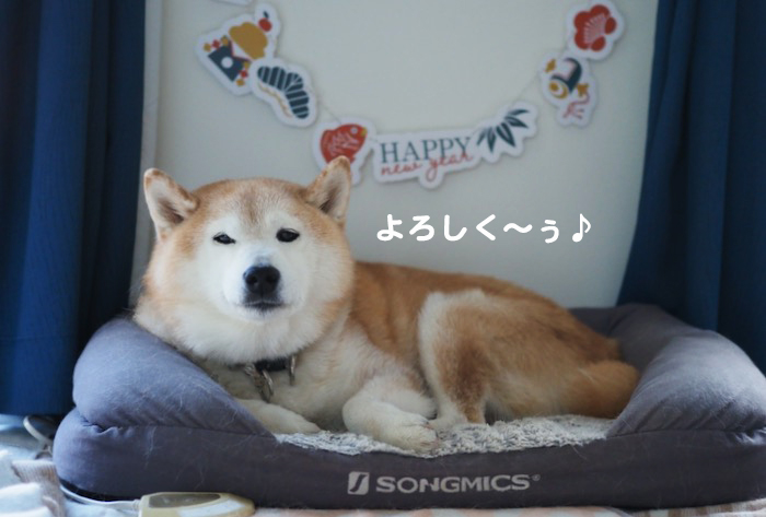 1日夕ブログ７