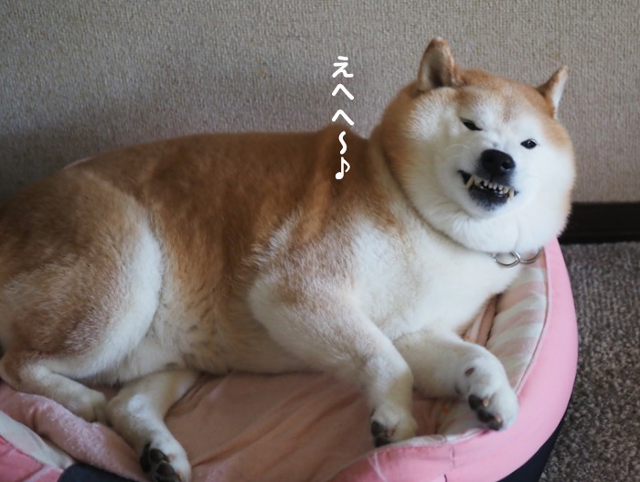 6日ブログ５