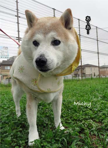 6日ブログ4.jpg