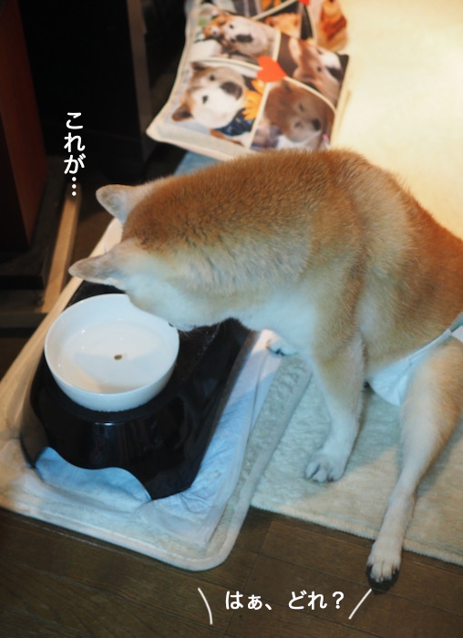 30日夜ブログ３