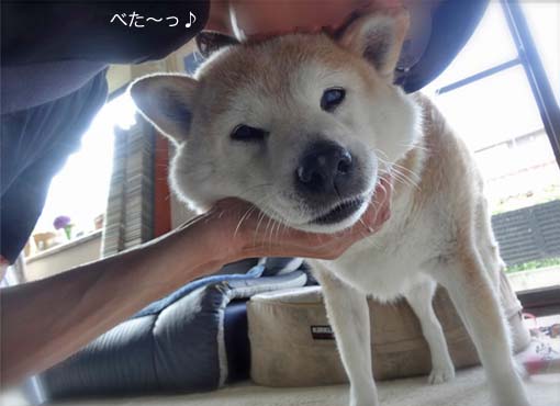 2日ブログ2.jpg