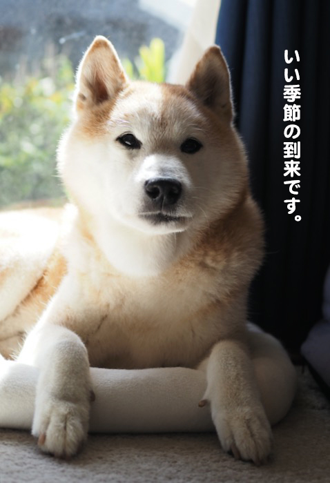 3日ブログ４