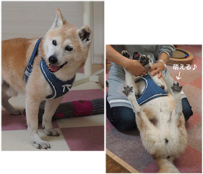 30日午後ブログ5