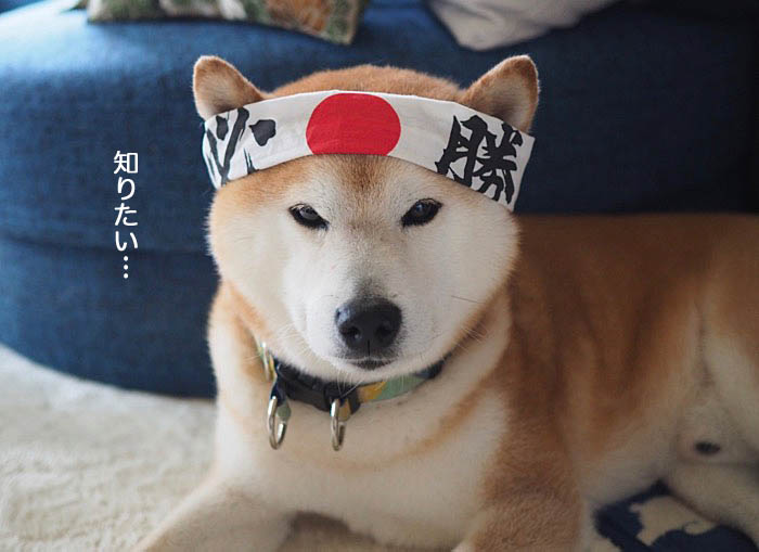 20日ブログ1