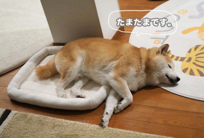 2日夕ブログ６