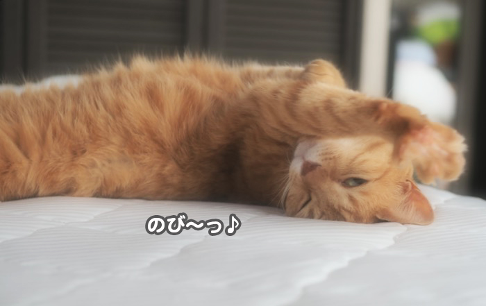 16日ブログ２