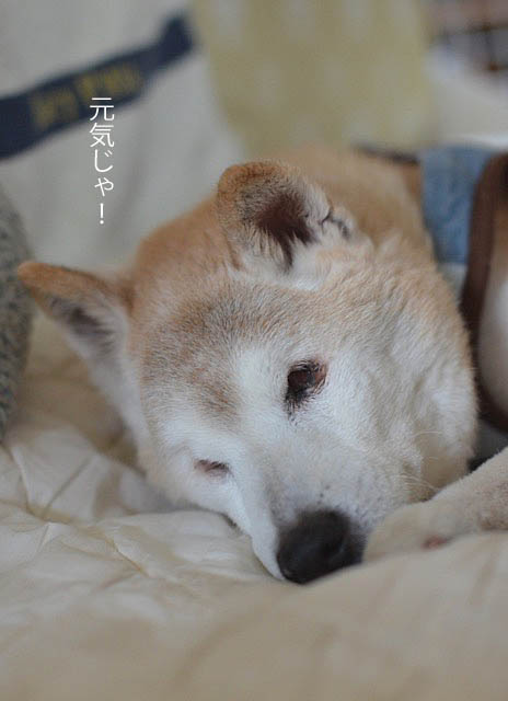 31日ブログ10