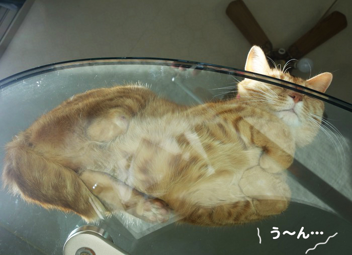 17日夕ブログ８