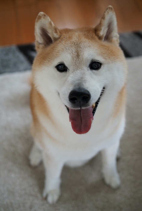14日ブログ１