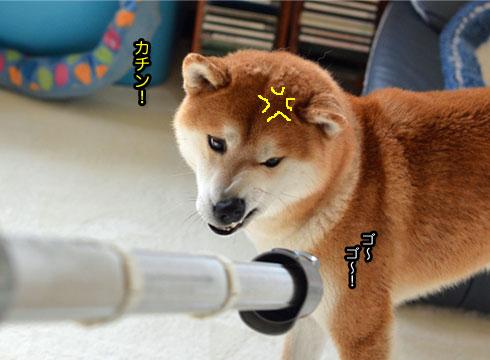 30日ブログ7.jpg