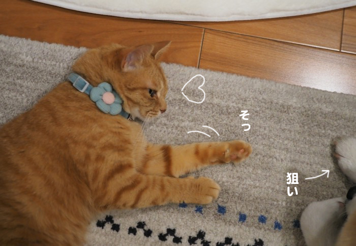 22日夕ブログ２