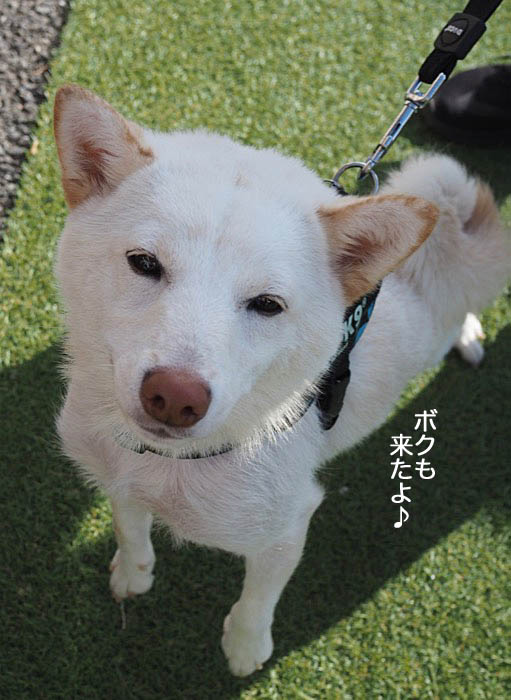 1日ブログ６