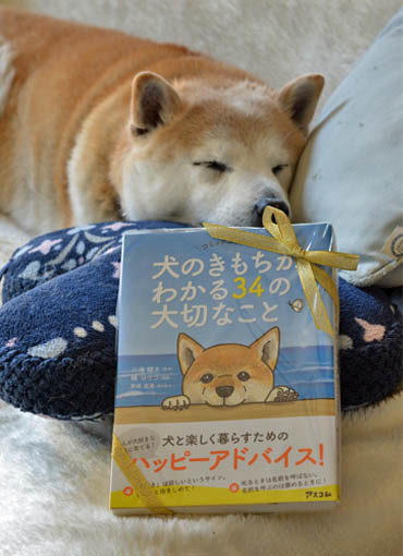 13日ブログ3.jpg