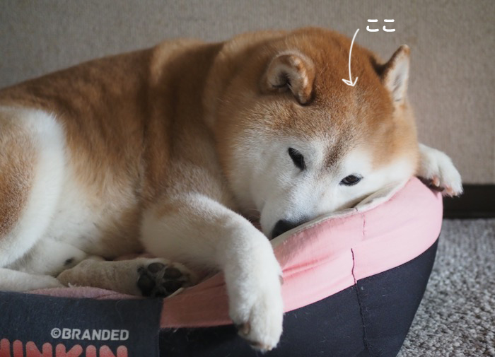 12日ブログ２