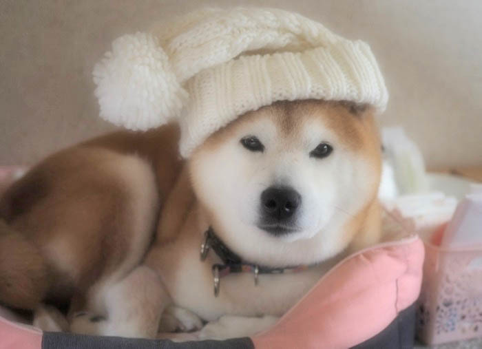 24日ブログ３