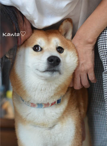 17日ブログ5.jpg