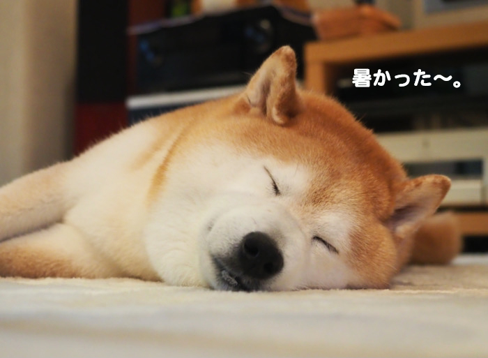 2日夕ブログ７