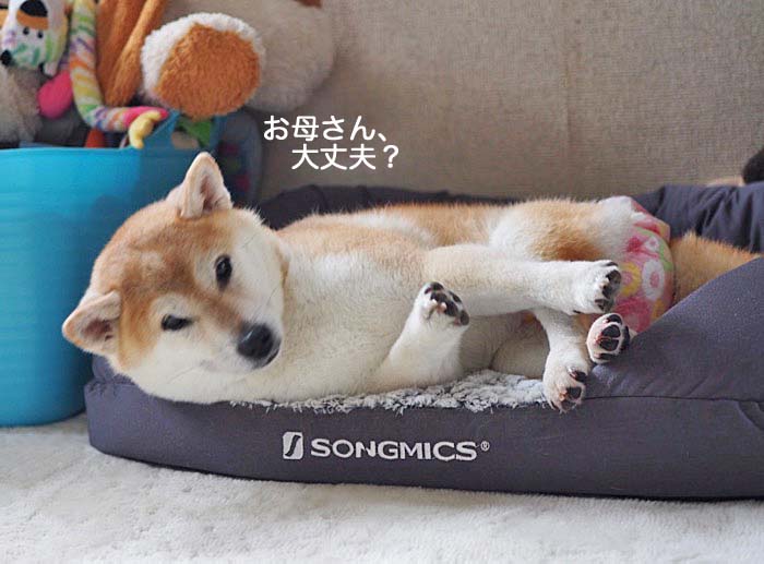28日ブログ４