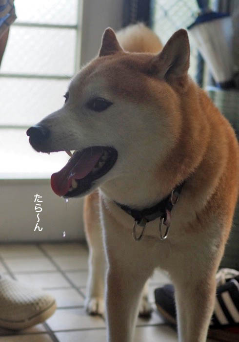 13日ブログ４