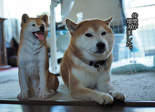 28日ブログ11